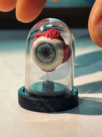 (image for) Miniature Anatomical Eye Model for Dollhouses