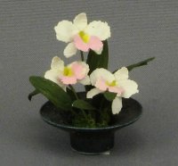 (image for) Dollhouse Miniature Pink and White Orchids