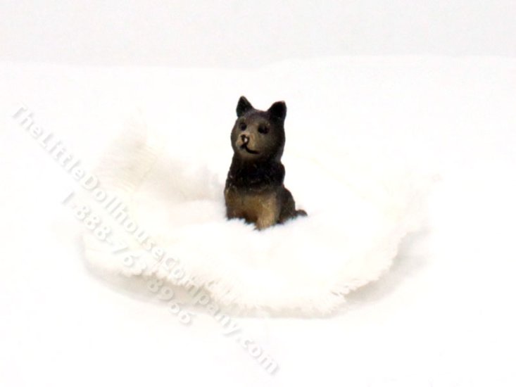 (image for) Dollhouse Scale Model Schipperke Playing w/Scrunched Carpet