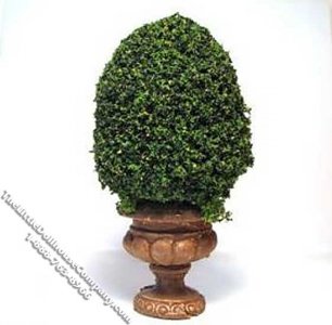 (image for) Miniature 4inch Topiary in a Round Base for Dollhouses