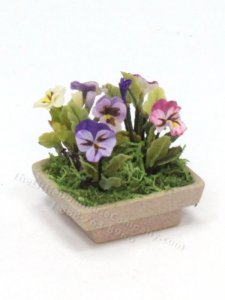 (image for) Miniature Pansies in Square Brown Planter