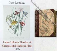 (image for) Miniature Book: Ladies' Flower Garden Of Ornamental Annuals