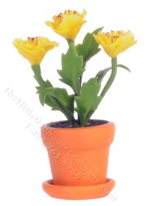 (image for) Miniature Yellow Poppies in a Pot