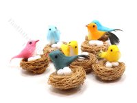 (image for) Miniature Bird in Nest with Eggs
