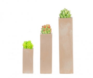 (image for) Miniature Tall Square Resin Suculents 3 Piece Set