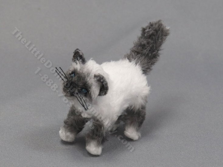 (image for) Miniature Long Haired Cat by Marie W. Evans - Birman