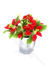 (image for) Miniature Poinsettia in a Metal Container