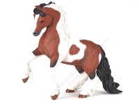 (image for) Miniature Irish Cob