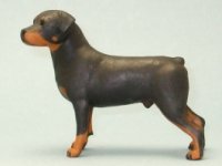 (image for) Miniature Standing Male Rottweiler by Karl Blindheim