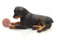 (image for) Miniature Adult Male Rottweiler by Karl Blindheim