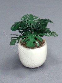 (image for) Miniature Monstera in Ceramic for Dollhouses - Small