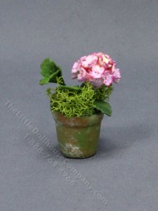 (image for) Miniature Pink Hydrangea in a Mossy Pot