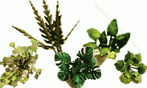 (image for) Miniature 1:12 Scale Laser Cut Plant Leaf Collection