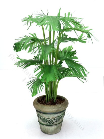 (image for) Miniature Potted Parlour Palm by Mini Creations by Judy