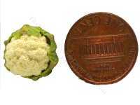 (image for) Miniature Cauliflower by Charlotte Willmott of Mouse House