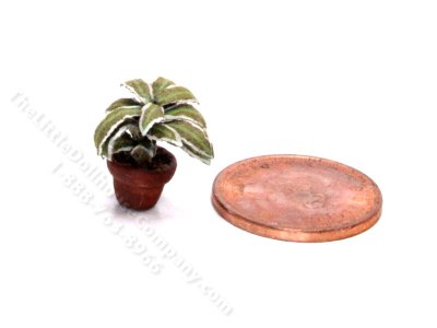 (image for) Handmade Miniature 1/4 Scale Hoya Plant for Dollhouses