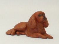 (image for) Miniature Cavalier King Charles Spaniel by Karl Blindheim