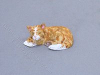 (image for) Dollhouse Scale Model Orange Cat
