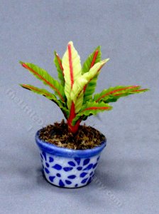 (image for) Miniature Potted Croton Plant for Dollhouses