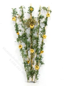 (image for) Miniature Rose Trellis for Dollhouses