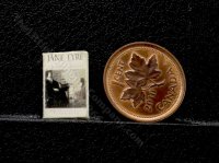 (image for) Miniature 'Jane Eyre' by Charlotte Bronte