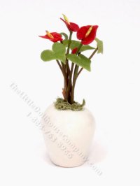 (image for) Miniature Anthurium in White Vase
