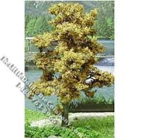 (image for) Miniature 3" Bright Green Tree for Dollhouses, 6/pkg