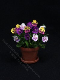 (image for) Miniature Pansies in Terracotta Pot by Mini Creations by Judy
