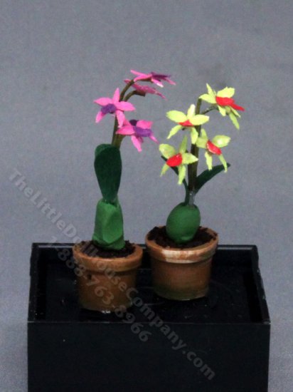 (image for) 1/2" Scale Pair of Orchids