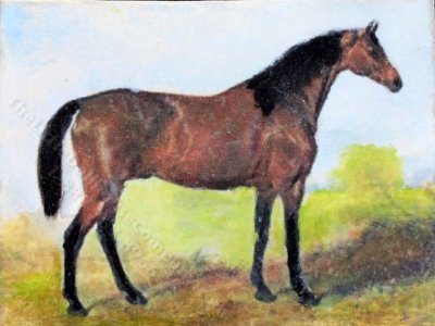 (image for) Miniature Bay Horse Painting by Larry Morganti