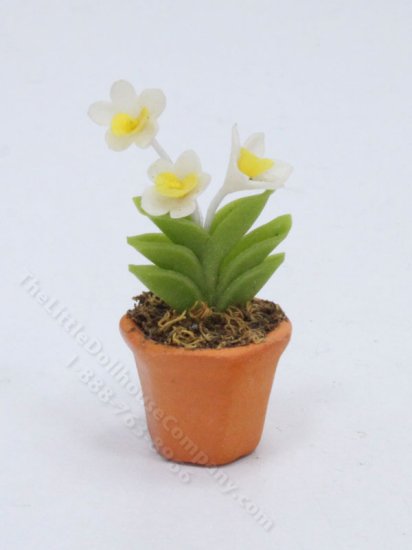 (image for) Miniature Potted White Cattleya Orchids for Dollhouses