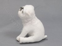 (image for) Miniature Bulldog Dog by Marie W. Evans - White
