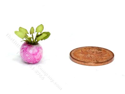 (image for) Handmade Miniature 1/4 Scale Anubias Plant in Pink Vase