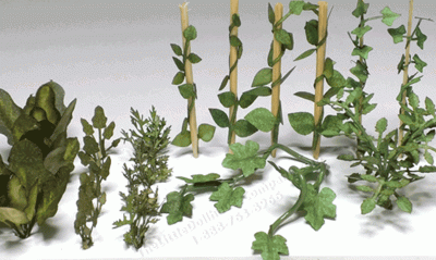 (image for) Miniature Vegetable Leaf Collection
