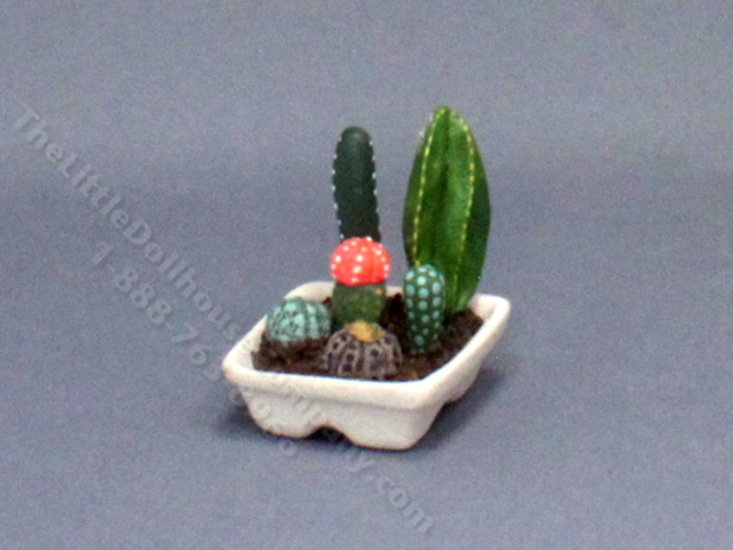 (image for) Dollhouse Miniature Potted Cactus Garden