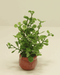 (image for) Miniature Round Leaf Plant For Dollhouses