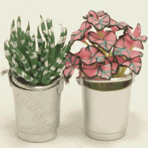 (image for) Miniature Succulents in Silver Bucket
