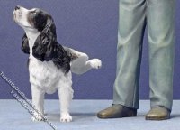(image for) Dollhouse Scale Model Naughty Black Springer Spaniel