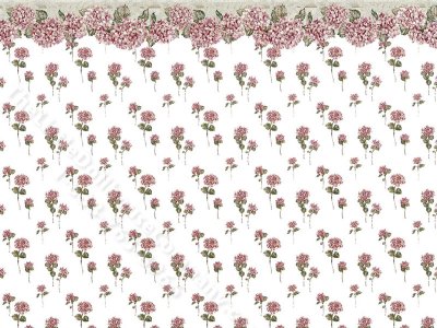 (image for) Hydrangea Wallpaper