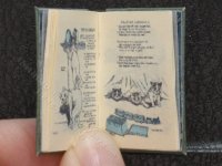 (image for) Miniature Book: 'Pussy's Adventures'