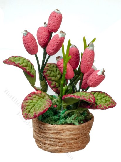(image for) Miniature Pink Cone House Plant in Basket for Dollhouses