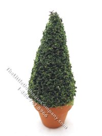 (image for) Miniature 5 inch Spruce Topiary in Terracotta Pot for Dollhouses