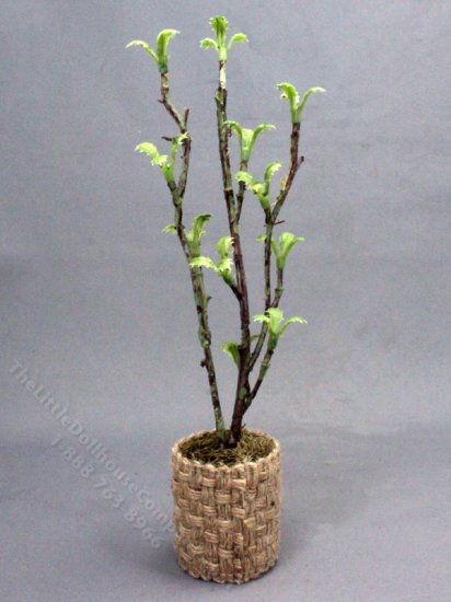 (image for) Miniature Indoor Tree for Dollhouses