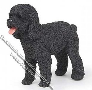(image for) Dollhouse Scale Model Standing Black Poodle