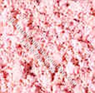 (image for) Miniature Loose Pale Rose Blossoms for Dollhouse