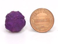(image for) Miniature Head of Purple Cabbage