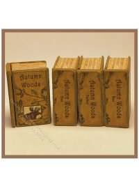 (image for) Miniature Secret Book - AUTUMN WOODS - Moose
