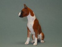 (image for) Miniature Sitting Red and White Male Boxer by Karl Blindheim