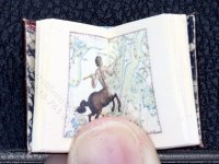 (image for) Miniature Book: 'Celestial Charts'