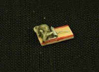 (image for) Dollhouse Miniature Mouse Trap (each)